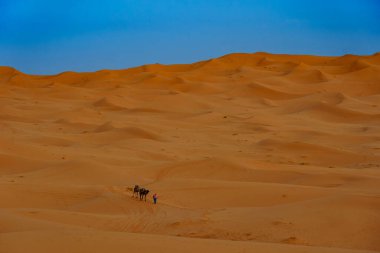 Kuzey Afrika. Fas 'ta. Merzouga 'da. Sahra Çölü 'ndeki kum tepelerinden geçen deve kervanı.