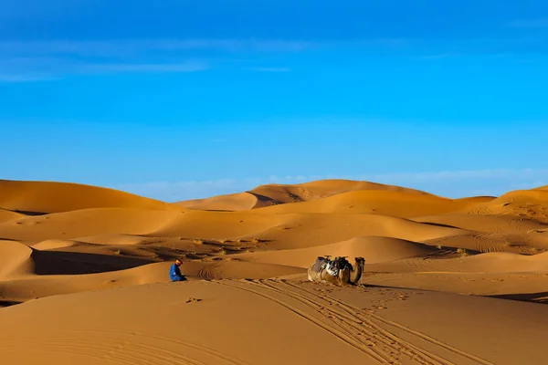 stock image North Africa. Morocco. Merzouga. A muslim wadi pray in a sand dunes of Sahara desert under a blue sky