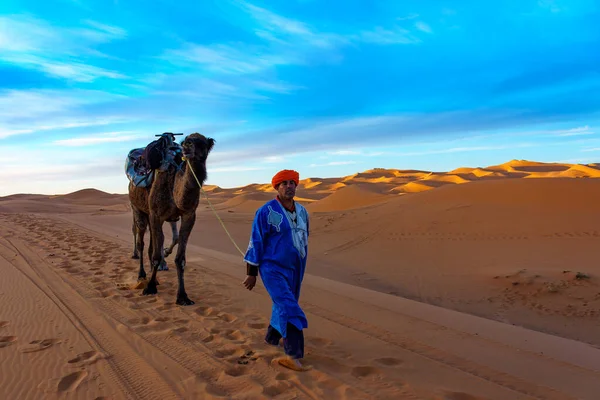 Kuzey Afrika Fas Merzouga Sahra Çölü Ndeki Kum Tepelerinden Geçen — Stok fotoğraf