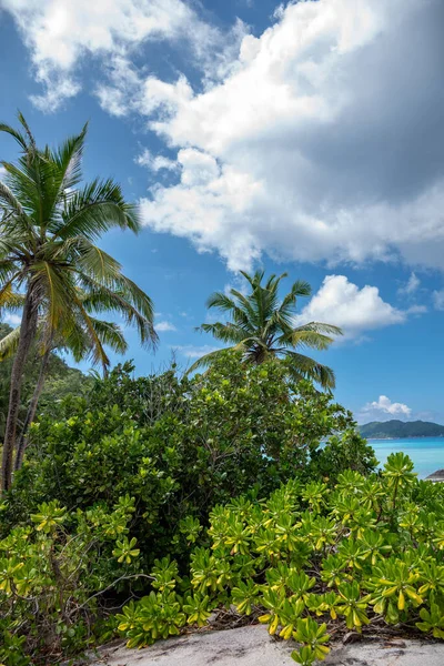 Hermosa Playa Tropical Con Palmeras Seychelles —  Fotos de Stock