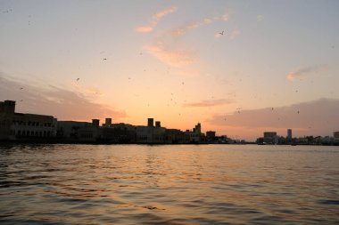 View of Dubai creek with lots of seagulls and at sunset, Dubai, UAE