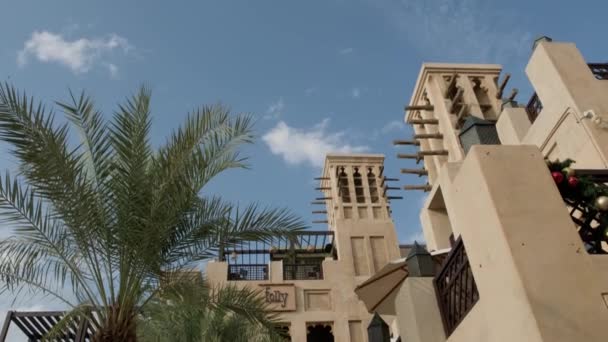 Street View Luxurious Residential Neighborhood Palm Trees Dubai Editorial Taken — Stockvideo
