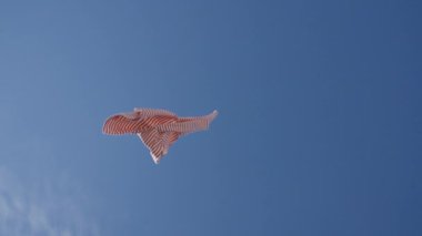 Throwing pre owned clothes against blue sky in slow motion, low angle view, sustainable fashion concept, falling on camera.