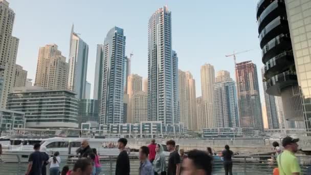 Dubai Marina Many People Flying Seagulls Editorial Taken January 2023 — Stockvideo