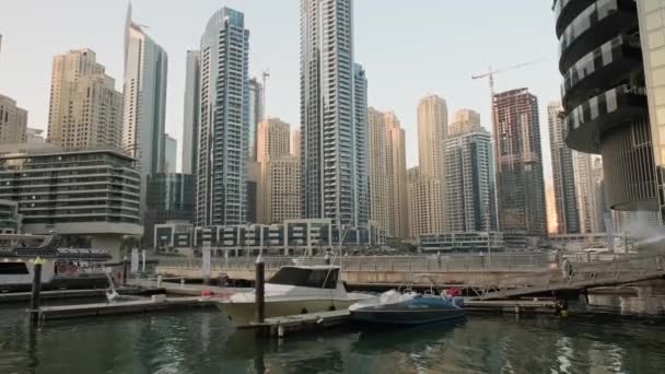 多くの空飛ぶカモメとドバイマリーナ 編集撮影2 1月2023 ドバイ アラブ首長国連邦 — ストック動画