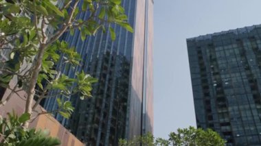 Modern skyscrapers and green trees at sunny day