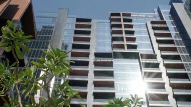 Modern skyscrapers and green trees at sunny day