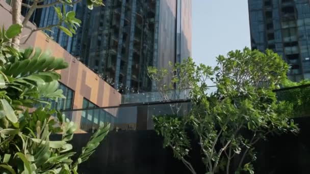 Modern Skyscrapers Green Trees Sunny Day — Wideo stockowe
