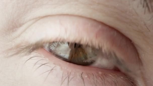Extreme Close Male Open Eye Looking Camera — Stock Video