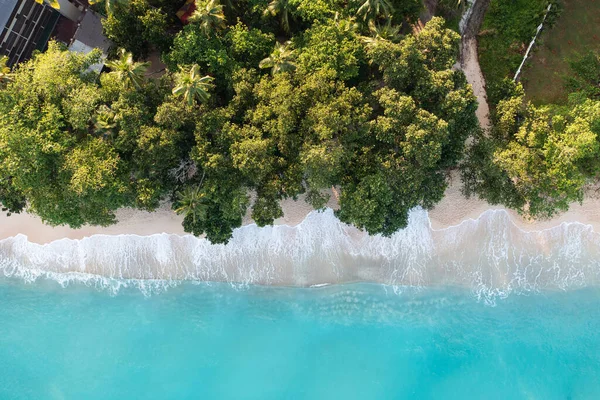 Вид Воздуха Тропический Пляж Индийским Океаном Пальмами — стоковое фото