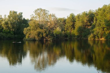 Güzel sonbahar manzarası. Göl ve sonbahar ormanı manzarası. Yunanistan, Avrupa 'nın renkli sonbahar sahnesi. Doğa konseptinin güzelliği