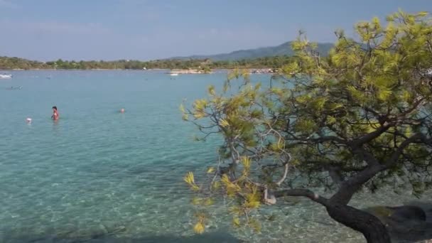 Incredibile Spiaggia Kavourotrypes Nella Penisola Sithonia Halkidiki Grecia Editoriale Ripreso — Video Stock