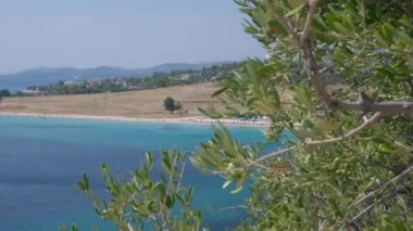 Zeytin ağaçları, durgun mavi deniz ve berrak gökyüzü ile Akdeniz manzarası. 