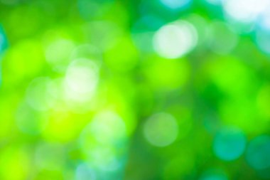 Yeşil bulanık arkaplan, bokeh ve güneş ışığı