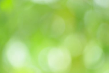 Yeşil bokeh arka plan bulanık