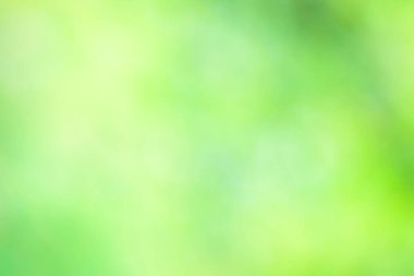 Yeşil bulanık arkaplan, bokeh ve güneş ışığı