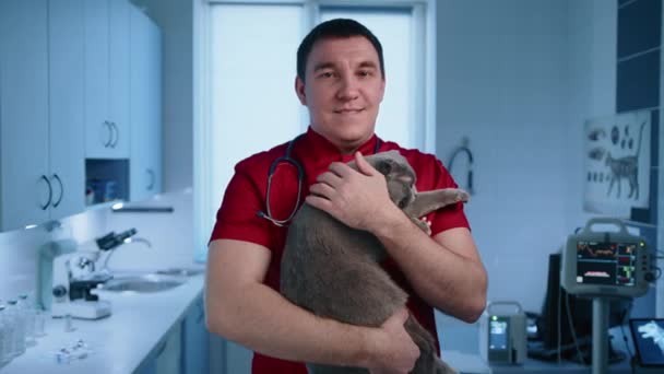 中年男性兽医一边摸着一只灰色的猫 一边看着相机 后面是医疗器械 高质量的4K镜头 — 图库视频影像