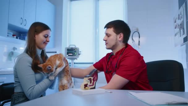 Мужчина Опытный Ветеринар Возвращает Кошку Женщине Владельцу Объясняя Риски Здоровья — стоковое видео