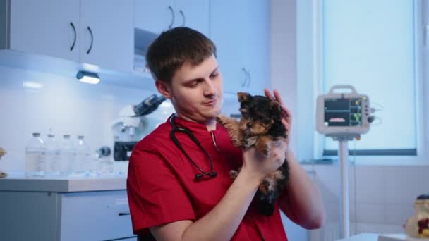 一位年轻的兽医正在用特殊的照料和爱心抚摩约克郡的一只小狗 专家牵着一只狗 友善地微笑着 高质量的4K镜头 — 图库视频影像