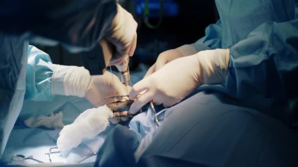 Ein Tierarzt Öffnet Dem Patienten Mit Einer Chirurgischen Mini Bohrmaschine — Stockvideo