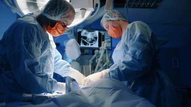 Veterinário Realizando Uma Operação Com Instumentos Cirúrgicos Enquanto Uma Enfermeira — Vídeo de Stock