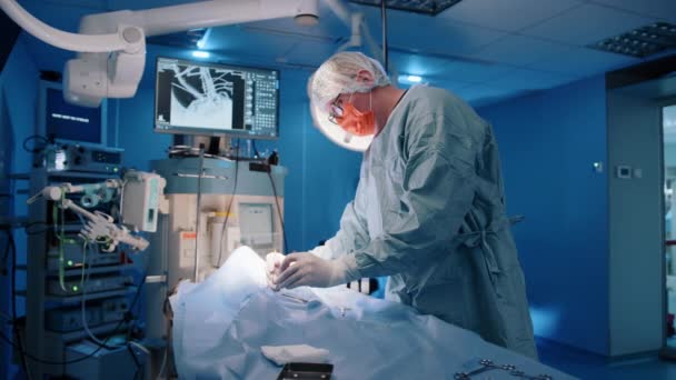 Veterinário Realizando Uma Operação Cirúrgica Com Bisturi Suas Mãos Eles — Vídeo de Stock