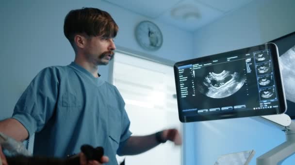 Veterinář Něco Vysvětloval Když Díval Ultrazvukový Monitor Snaží Vysvětlit Mohlo — Stock video