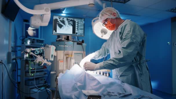 Lekarz Weterynarii Przecinający Tkankę Zakrywającą Pacjenta Celu Rozpoczęcia Operacji Muszą — Wideo stockowe