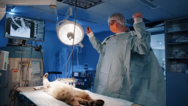 Ένας Κτηνίατρος Που Φοράει Χειρουργικό Παλτό Και Νοσοκόμα Τον Βοηθάει — Αρχείο Βίντεο