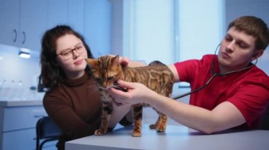 Genç erkek veteriner klinikte yetişkin Bengal kedisini muayene ediyor. Veteriner steteskop kullanıyor. Dişi evcil hayvan sahibi hayvanı tutuyor. Yüksek kalite 4k görüntü