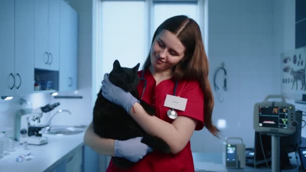 동물을 돌보는 의사가 진료소에서 고양이를 쓰다듬고 수의사가 카메라를 있습니다 고품질 — 비디오