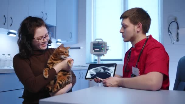 Male Young Veterinarian Consults Female Owner Purebred Bengal Cat Doctor — Stock Video