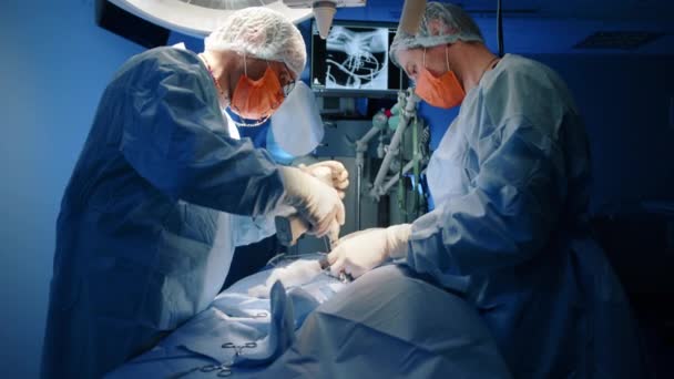 Veterinário Abrindo Algo Paciente Com Uma Mini Broca Cirúrgica Eles — Vídeo de Stock