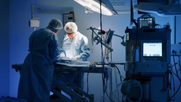 Weterynarz Pielęgniarka Stojący Przy Stole Operacyjnym Wykonujący Operację Zwierzęciu Starają — Wideo stockowe