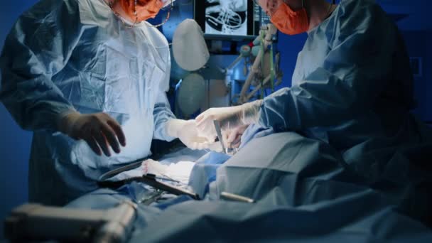 Kamera Powoli Pokazuje Lekarza Pielęgniarkę Wykonujących Operację Zwierzęciu Starają Się — Wideo stockowe