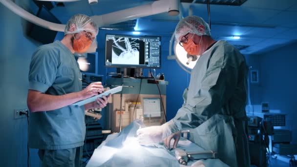 Lekarz Weterynarii Wykonujący Operację Zwierzęciu Podczas Gdy Pielęgniarka Coś Zapisuje — Wideo stockowe