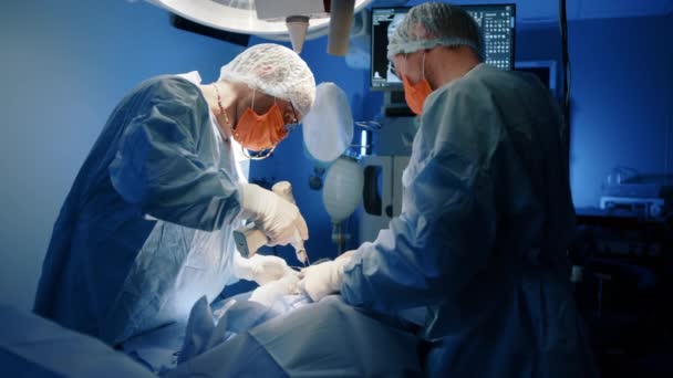 Médico Animais Que Realiza Uma Operação Com Instumentos Cirúrgicos Enquanto — Vídeo de Stock