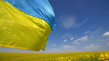 Bağımsızlık ve özgürlük geçmişi konsepti için önerge duvar kâğıdı. Barışçıl tarım ortamında dalgalanan mavi ve sarı Ukrayna bayrağının manzarası. Yüksek kaliteli FullHD görüntüler