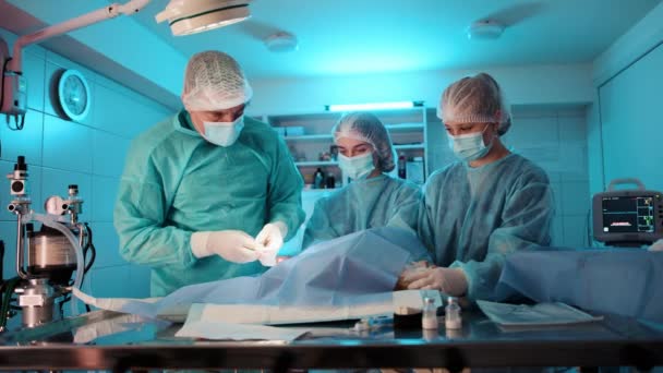 医者と看護師は意識不明の猫に手術をしている 看護師は彼の装置を痛めて医者を助け 猫を押さえつける 高品質4K映像 — ストック動画
