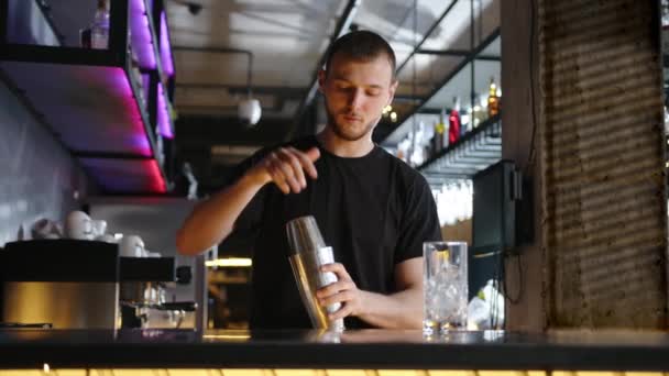 Barman Maakt Een Alcoholische Cocktail Een Shakerat Aan Bar Hoge — Stockvideo