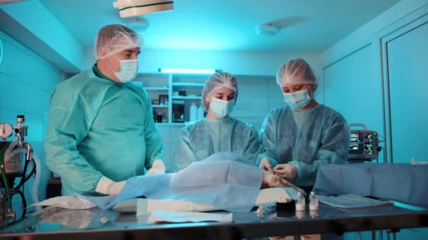 护士在手术后正在检查猫的状况 医生正在仔细监视护士的行动 高质量的4K镜头 — 图库视频影像