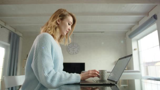 Jovem Especialista Feminina Atraente Trabalha Laptop Casa Mulher Digita Informações — Vídeo de Stock