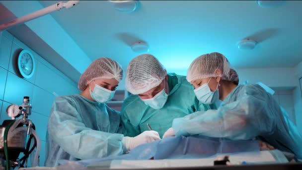 医生和护士正在给一只橙色的猫做手术 护士正在帮助医生操作高质量的4K镜头 — 图库视频影像