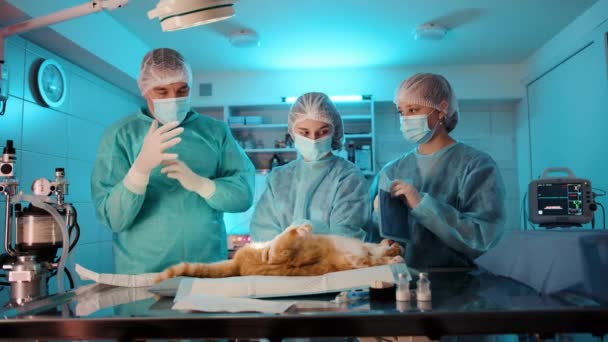 Médico Está Colocando Luvas Cirúrgicas Antes Iniciar Operação Enfermeiras Auxiliam — Vídeo de Stock