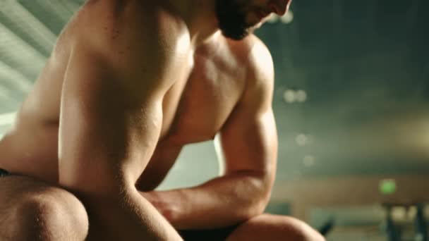 근육질 몸통의 알몸인 수컷이 클로즈업하고 체육관에서 덤벨을 들어올렸다 수염을 얼굴의 — 비디오