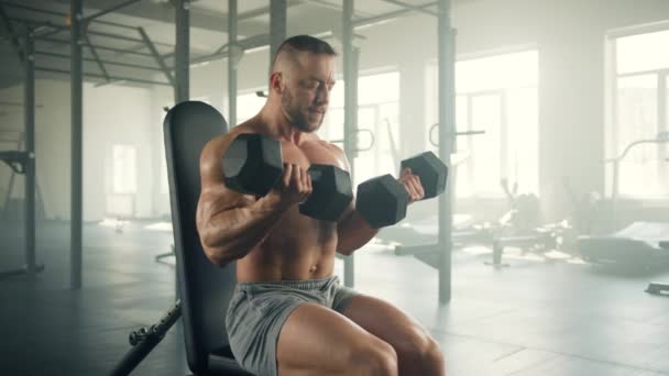 Processo Realização Bíceps Halteres Enrolar Por Homem Apto Posição Sentada — Vídeo de Stock