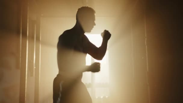 Profilo Giovane Sportivo Con Busto Nudo Che Shadow Boxing Palestra — Video Stock