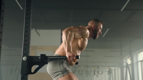 プルアップバーで運動筋肉の体を持つ中年男性のプロフィールショット スローモーション 顔と体の筋肉は緊張している フルボディワークアウト 高品質4K映像 — ストック動画