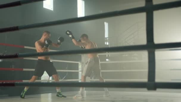ジムでリングで戦う手袋で裸の胴を持つ2つのボクサーのボクシング試合の長いショット スポーツマンは精力的に動き パンチを投げ合う 高品質4K映像 — ストック動画