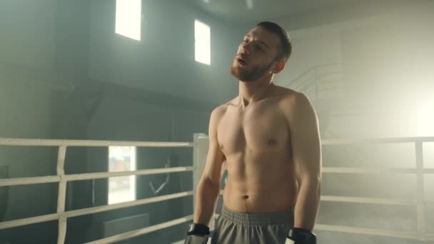 Jeune Boxeur Beau Souriant Gants Fait Des Exercices Étirement Sportsman — Video